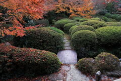 今シーズンラストの紅葉撮影＃１５