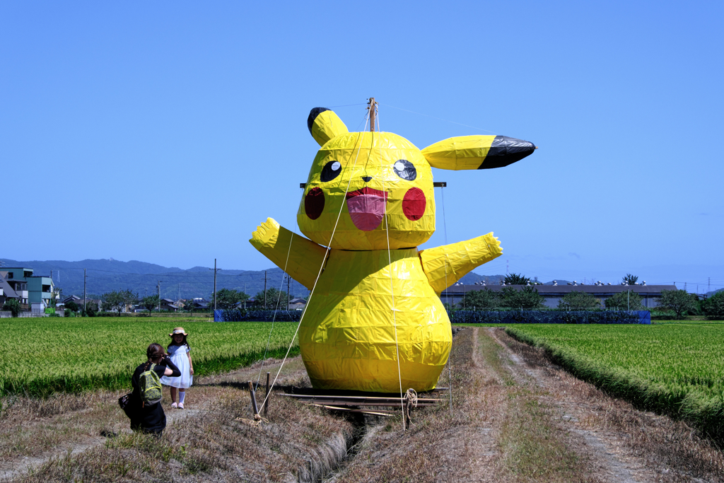畑の真ん中にピカチュー出現！＃６