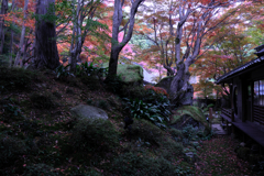 石の寺・教林坊の紅葉＃８