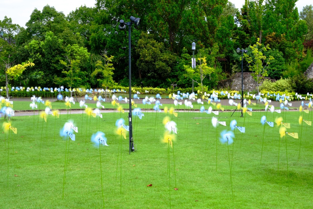 残暑の中・久し振りにデンパークへ＃６