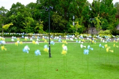 残暑の中・久し振りにデンパークへ＃６