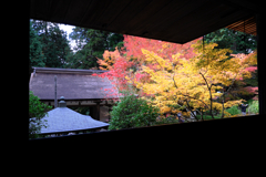 金剛輪寺の紅葉＃９