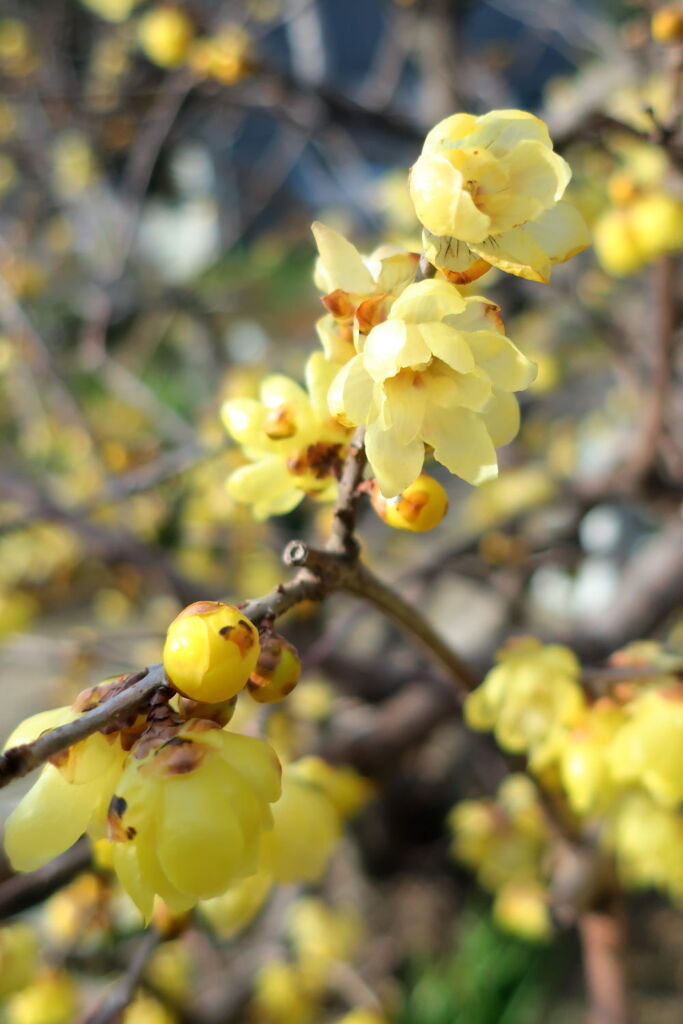 あれから１週間が過ぎ・・・・＃３