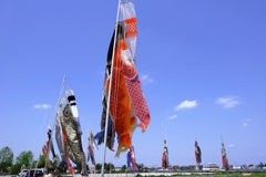 依佐美の鉄塔と鯉のぼり＃７