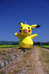 畑の真ん中にピカチュー出現!#1