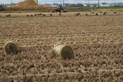 安城市で見掛けたわらロールのある情景＃２