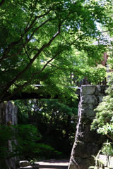 新緑眩しい丈山苑（Part2）＃８