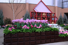 デンパーク・温室内の花たち＃７