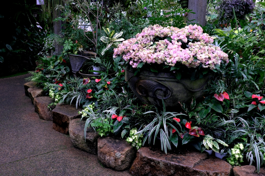 あおいパークで出会った花たち＃７