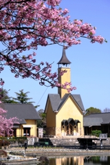 河津桜が満開・なばなの里#2