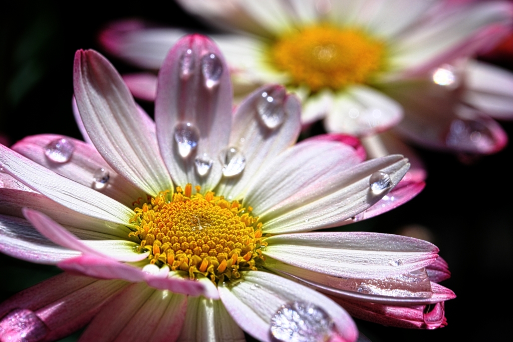 雨上がりの雫＃６