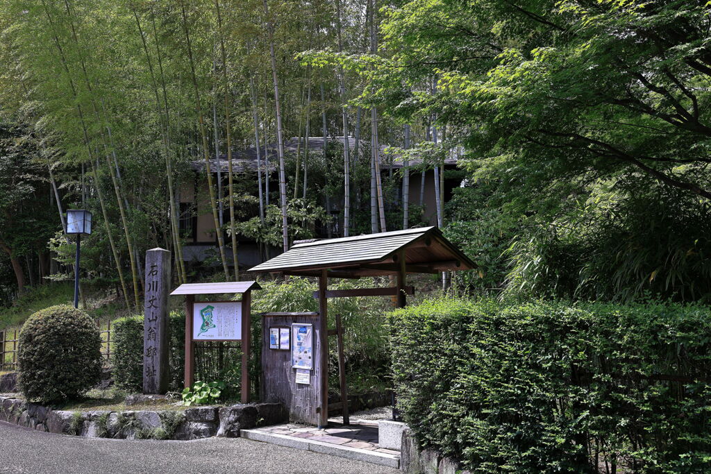 緑が眩しい丈山苑＃１