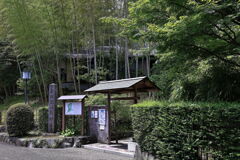 緑が眩しい丈山苑＃１