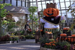 デンパークのハロウィン#3 デンパークのハロウィン#3