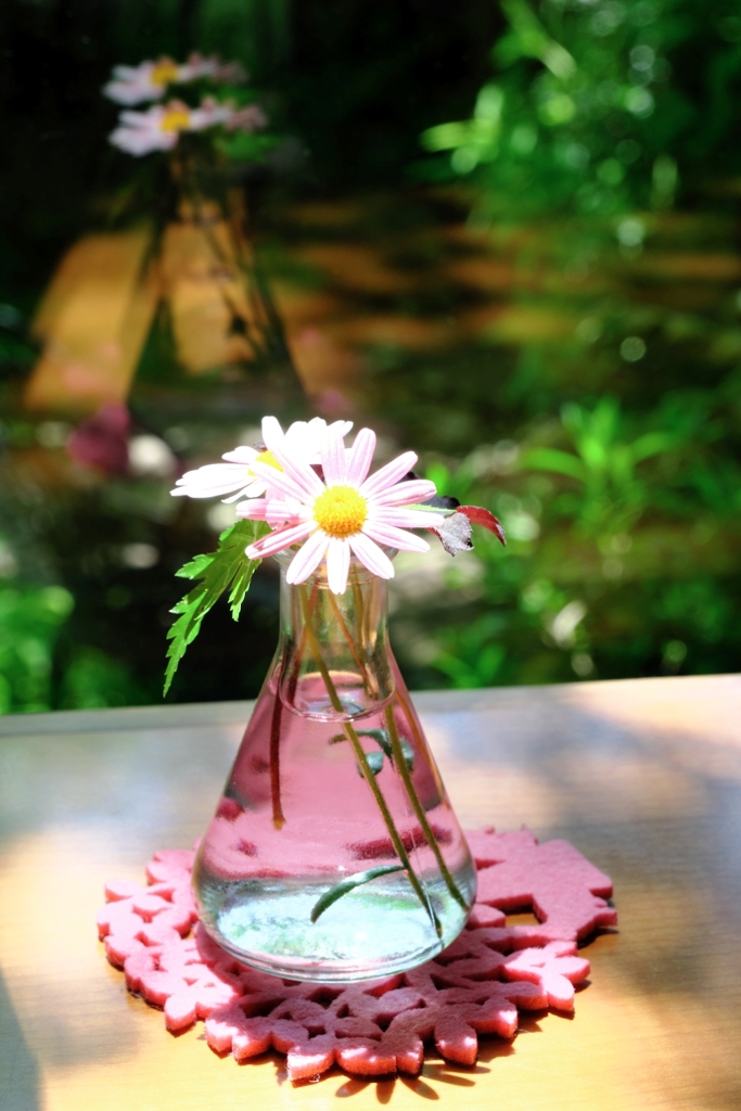 ガーデンミュージアム花遊庭＃８