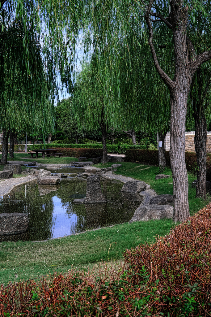 久し振りのヒーリングガーデン＃１０