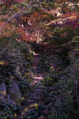 晩秋の紅葉撮影・松平郷#3