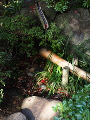 京都風情タップリ丈山苑＃１４