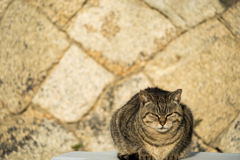まったり
