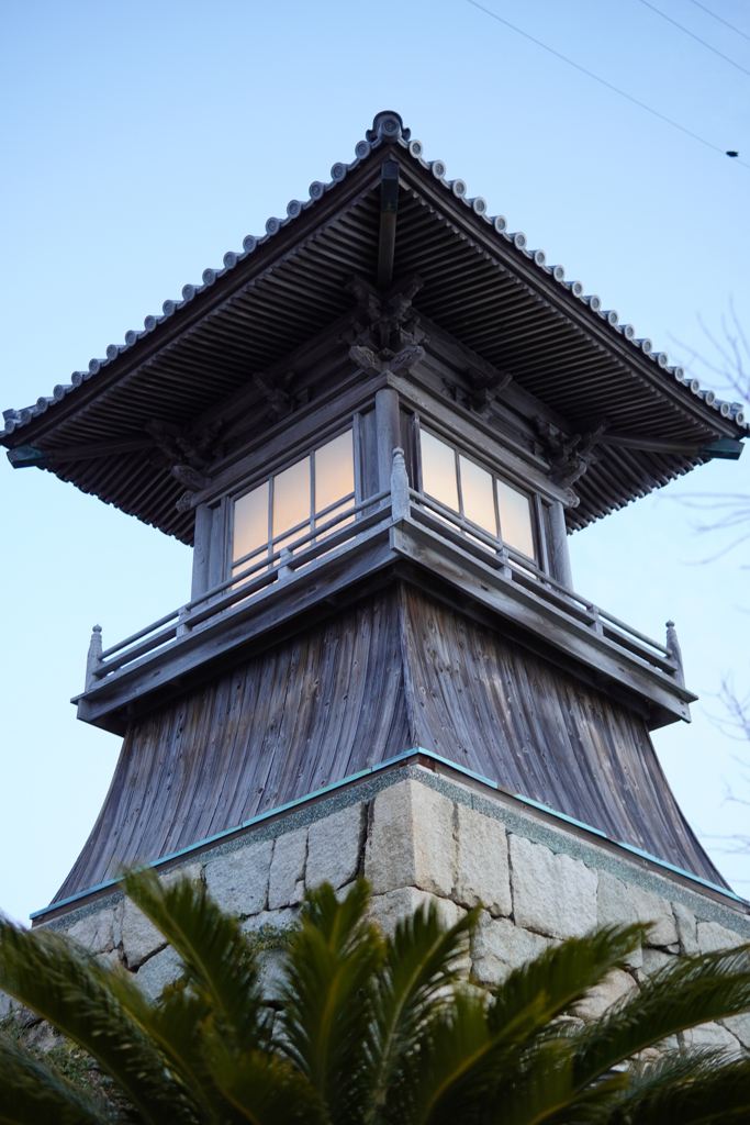 朝