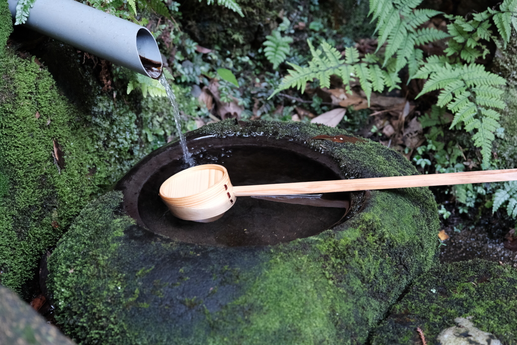 苔の中の手水舎