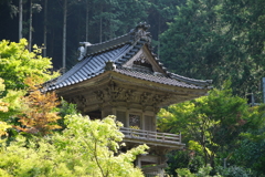 夏の神社