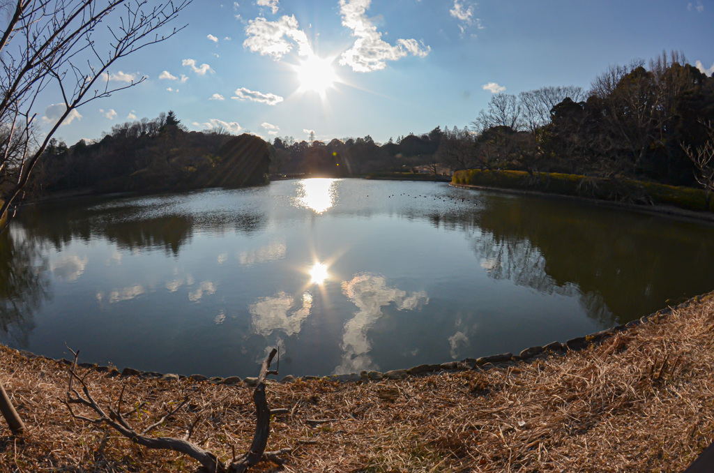 桜が咲く前の午後