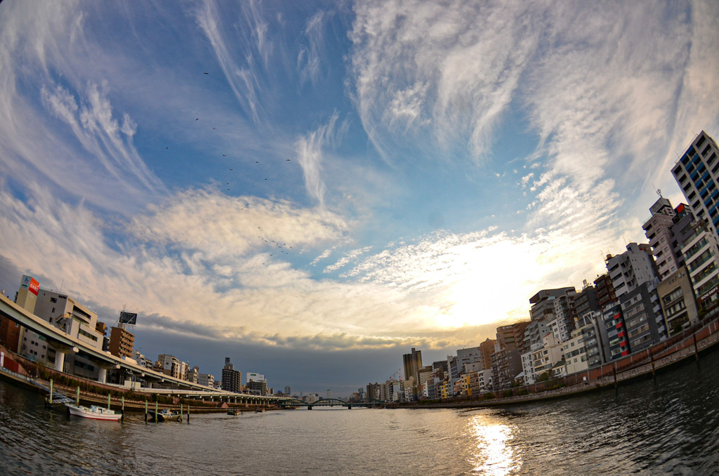 隅田川