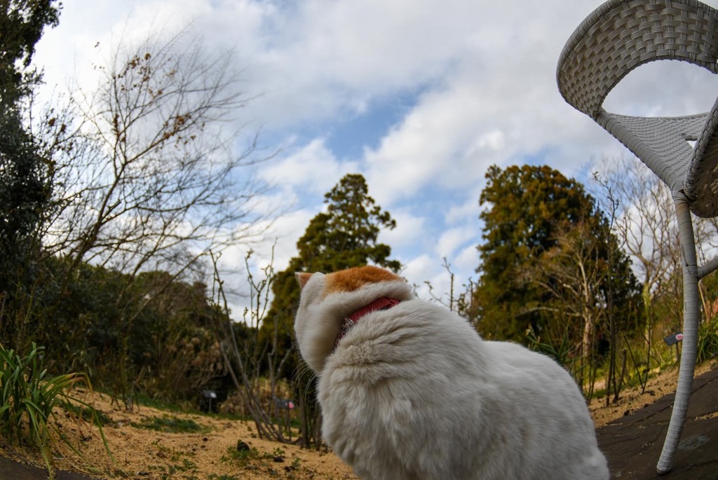 空を見て何想う