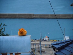 男木島