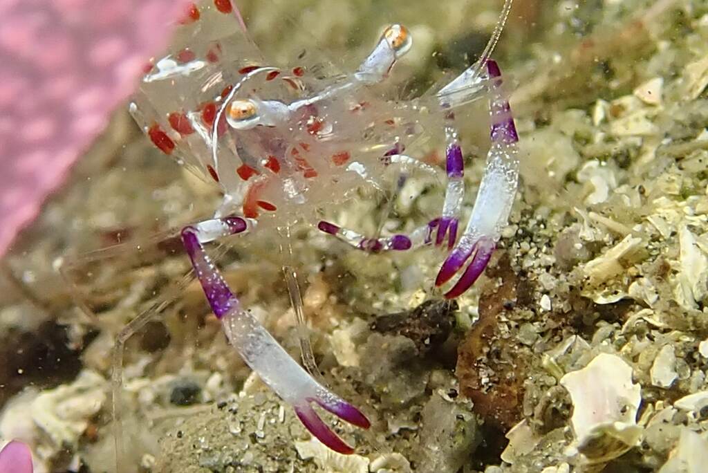 獅子浜にて