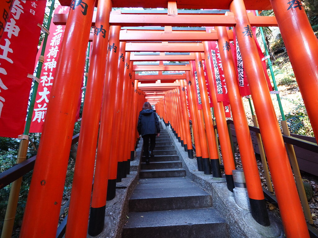 日枝神社　千本鳥居