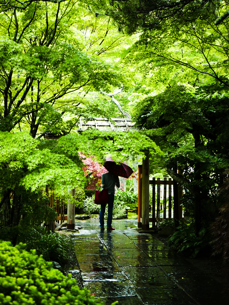 あいにく雨