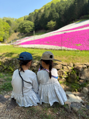 初夏のご陽気