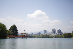 池の上から