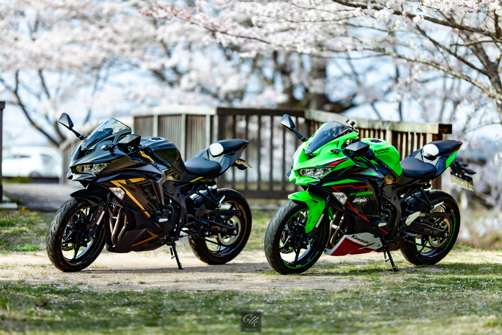 Kawasaki Ninja ZX-25R