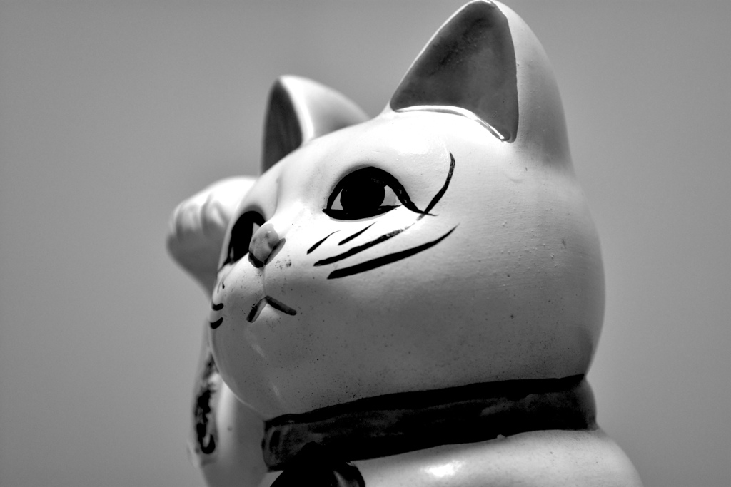 お猫さん