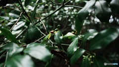 IMG_20220121_194216_689
