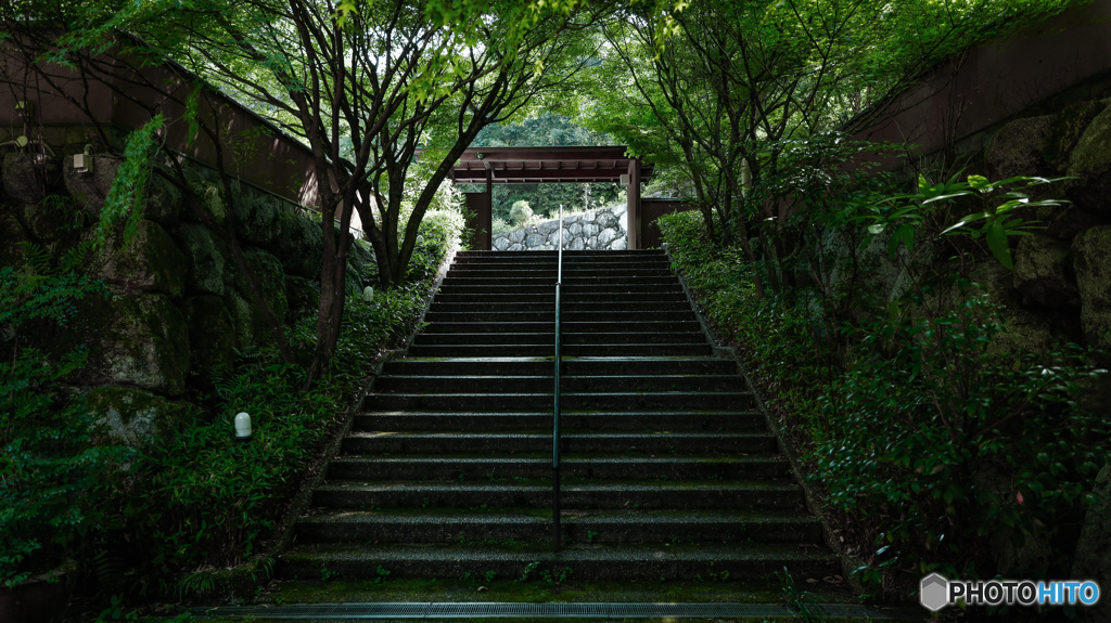 夏の匂い