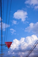 夏雲