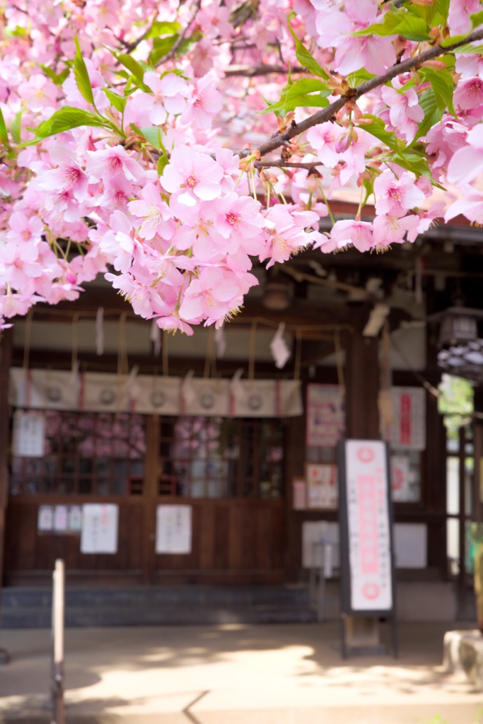 神社