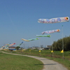 P5040123