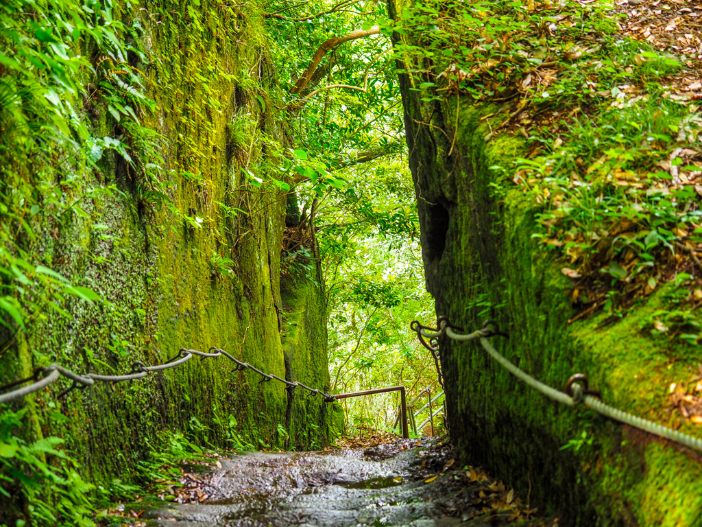 鋸山 登山道