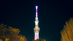 20250405 東京スカイツリー1