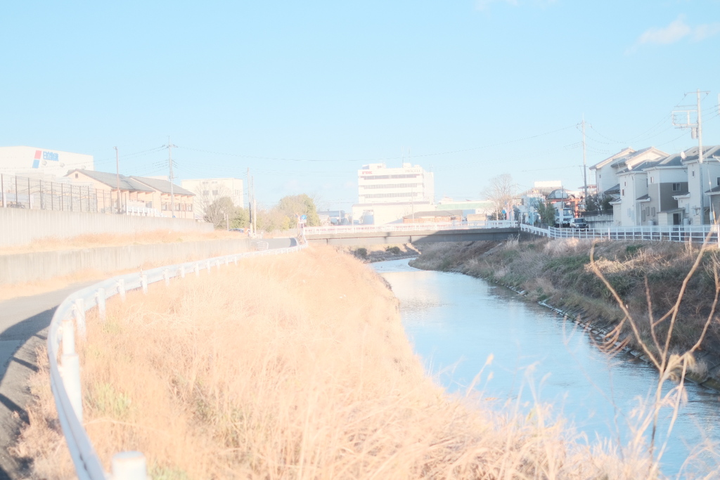 冬の夕暮れ散歩道