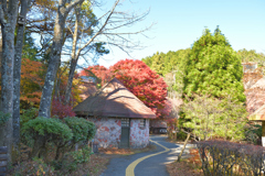 ちょっとメルヘンなところです