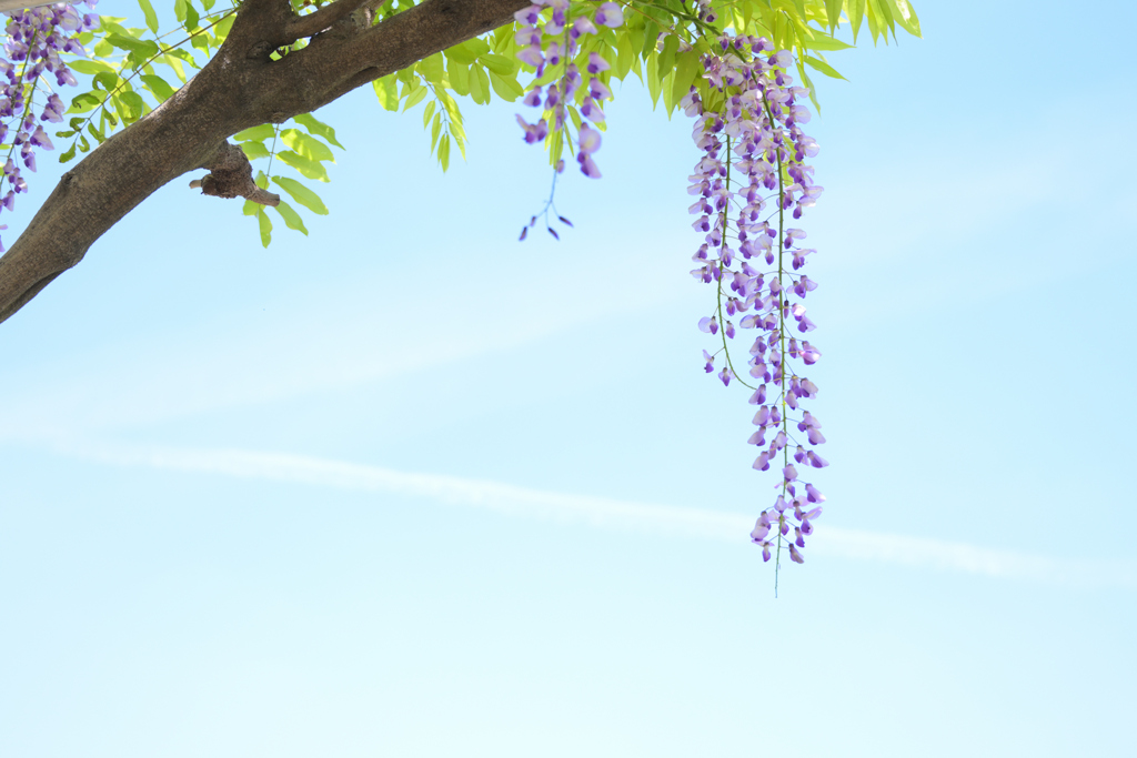 今年の夏も暑くなりそう