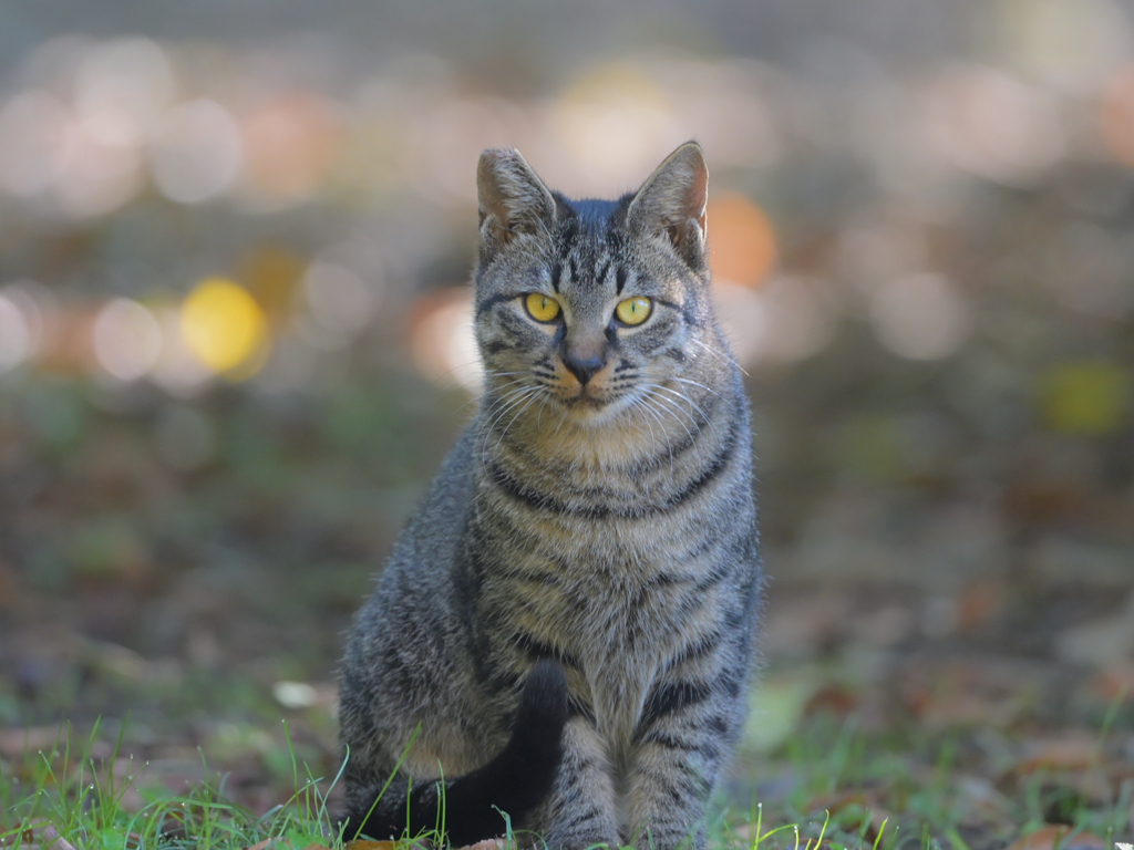 よく行く公園で