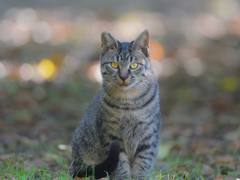 よく行く公園で