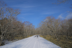 my field
